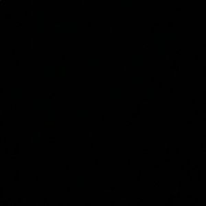 Meet your Posher, Dee